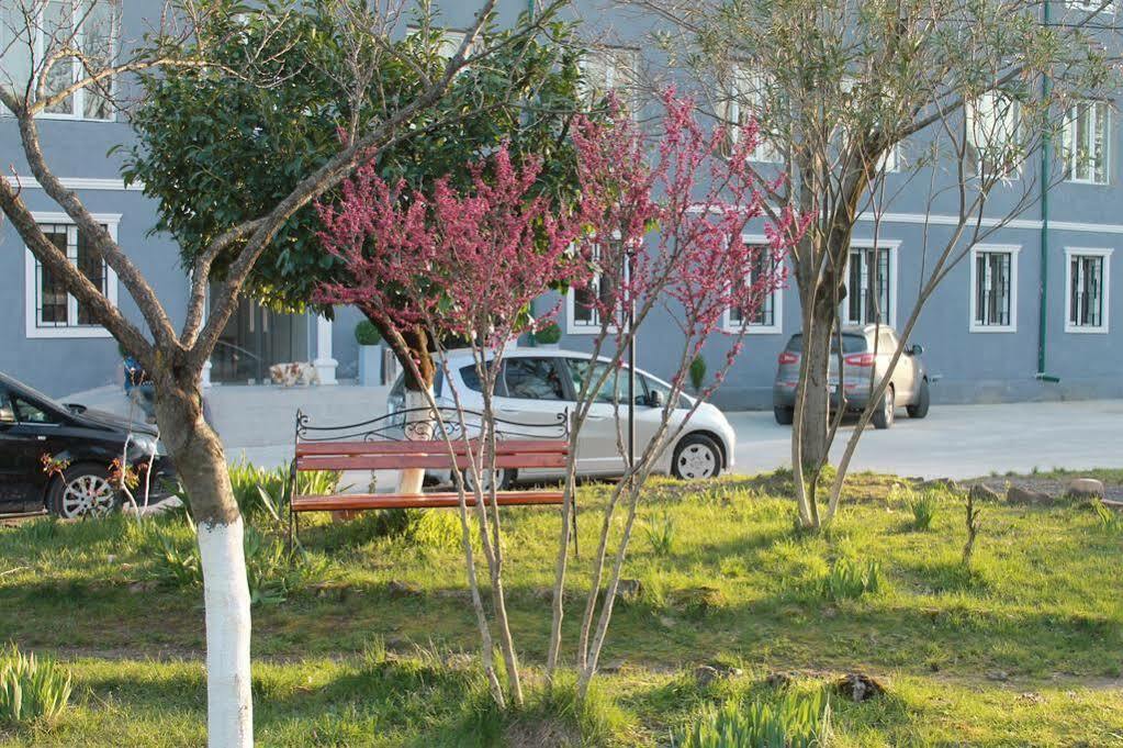 Hotel Sani كوتايسي المظهر الخارجي الصورة